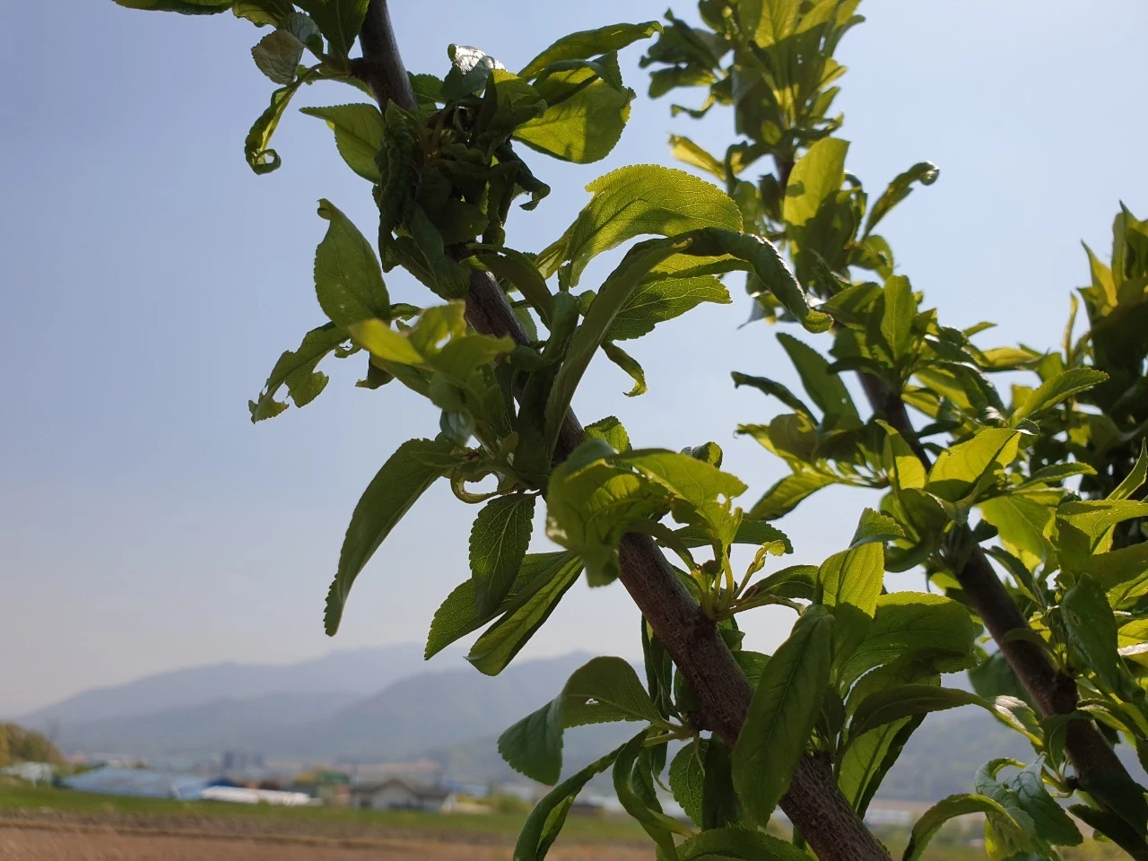 2_270Ud018svc1i71hqnn98yhi_e9765c.jpg?type=e1920_std