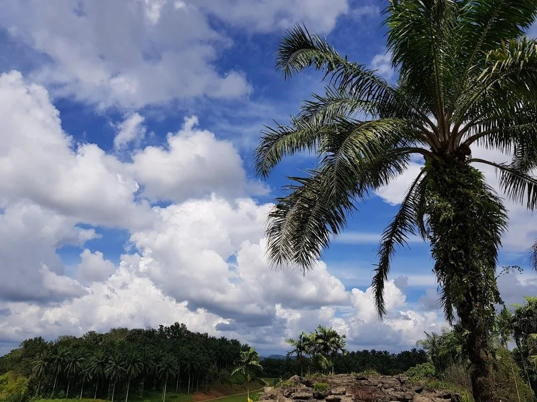 b_146Ud018svcc7wbqp6cdrvh_69xql1.jpg?type=e1920_std