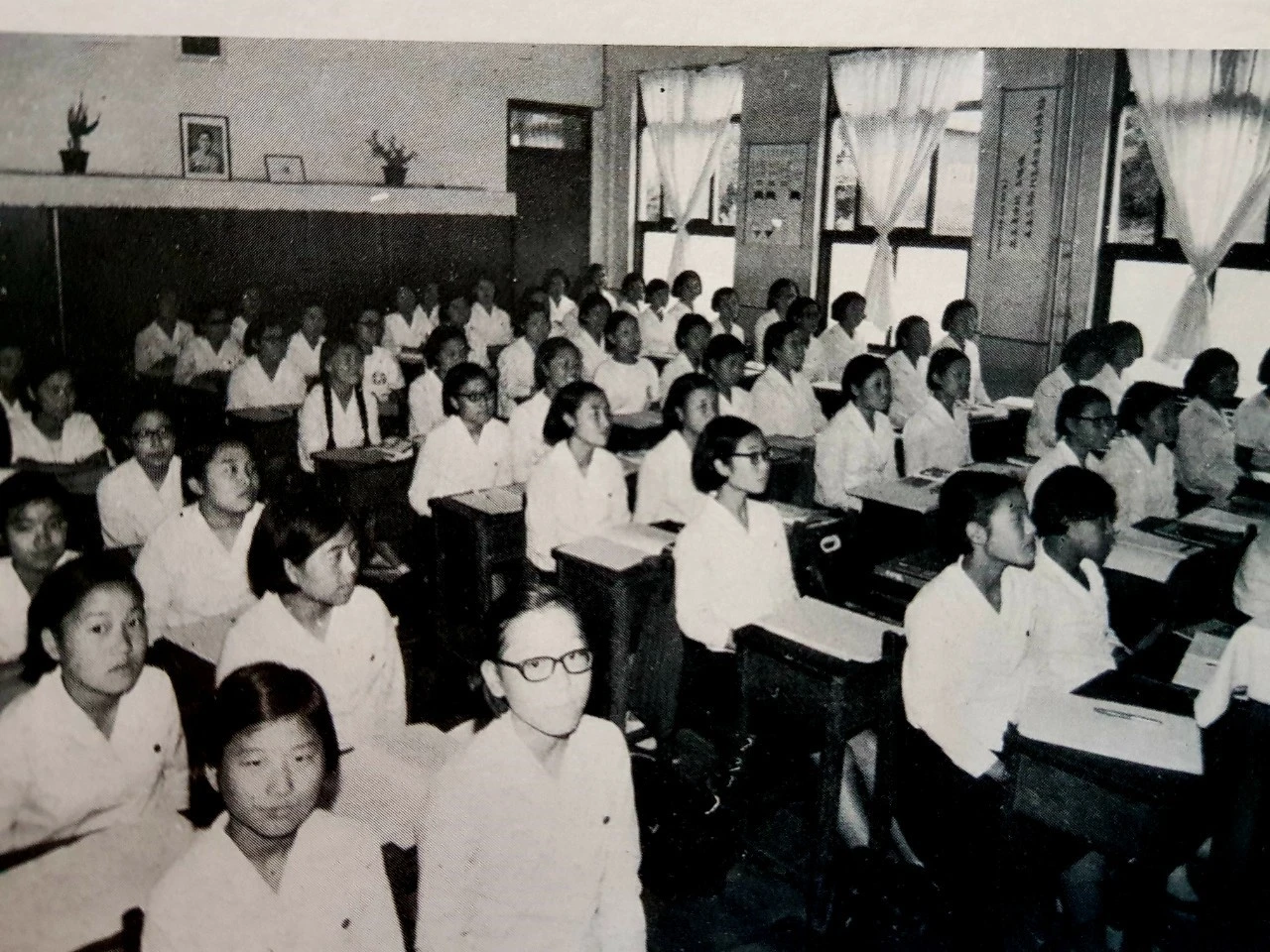 j_fjgUd018svcr4hrhyotf3od_bnmutt.jpg?type=e1920_std