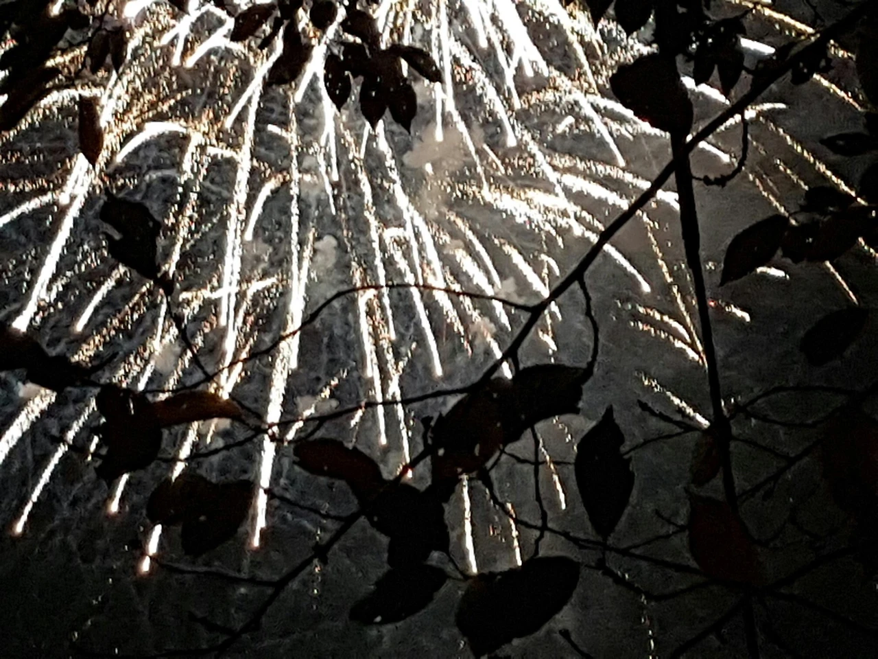 b89Ud0151pxezrudd52e2_bnmutt.jpg?type=e1920_std