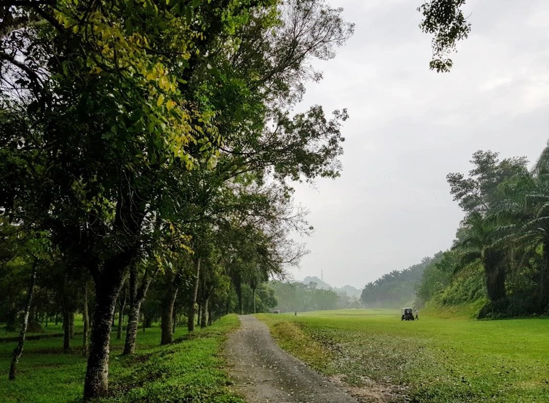 c_463Ud018svcsuuulpg8fqsx_ojpqdw.jpg?type=e1920_std