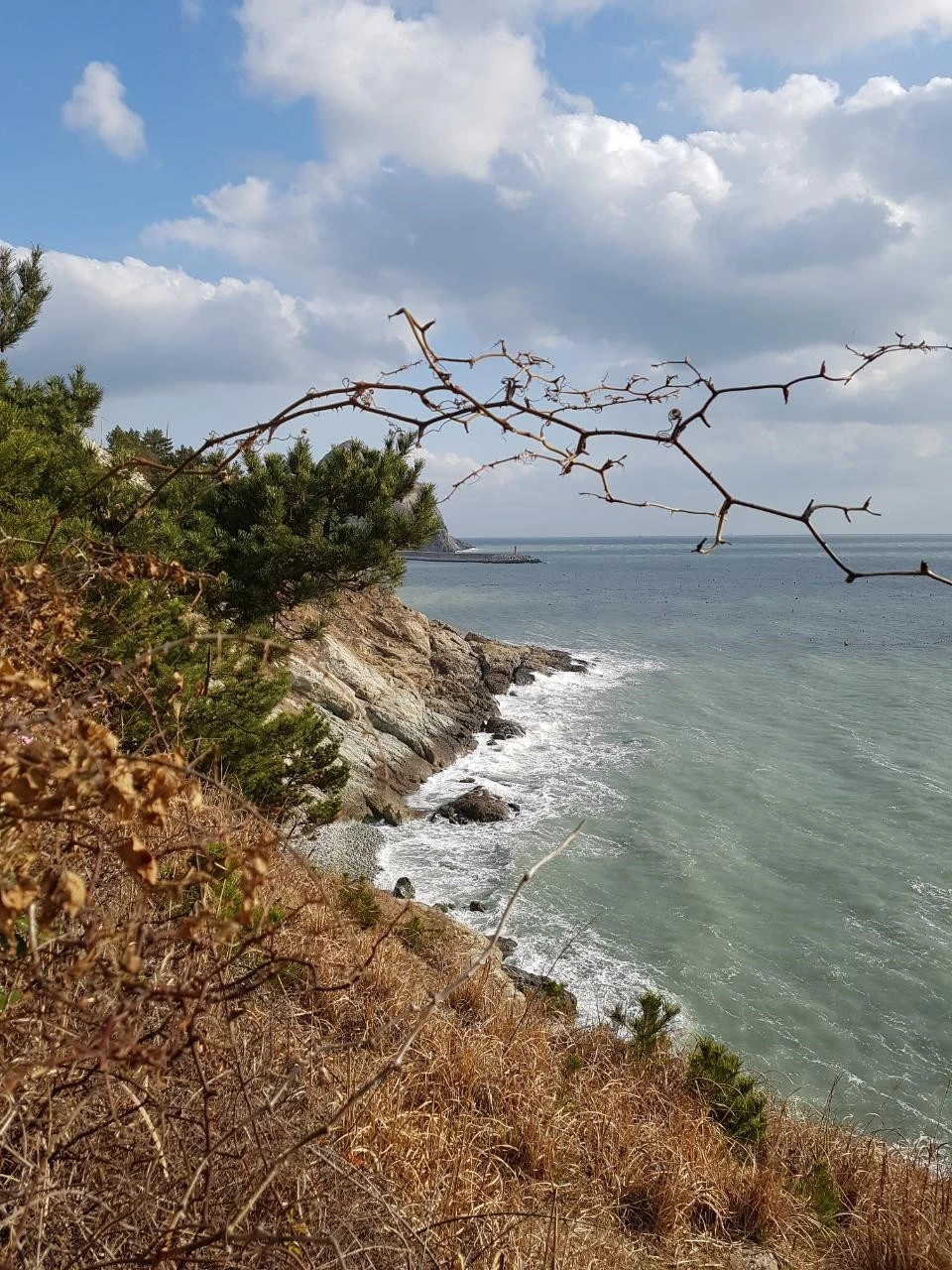 f_6j6Ud018svc1u90v056auol3_bnmutt.jpg?type=e1920_std