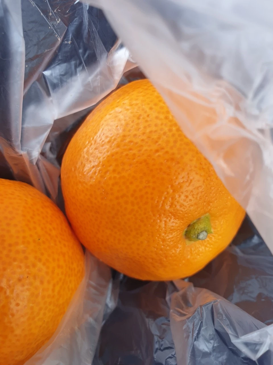 8_jj2Ud018svcpuywtztset_e9765c.jpg?type=e1920_std