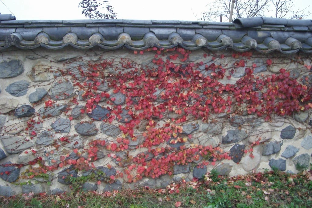 e_d3dUd018svchni4hf6wkf7l_e9765c.jpg?type=e1920_std