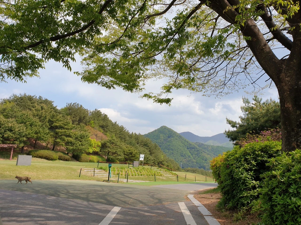 7_ih7Ud018svc1tz2u8esl1s0i_e9765c.jpg?type=e1920_std