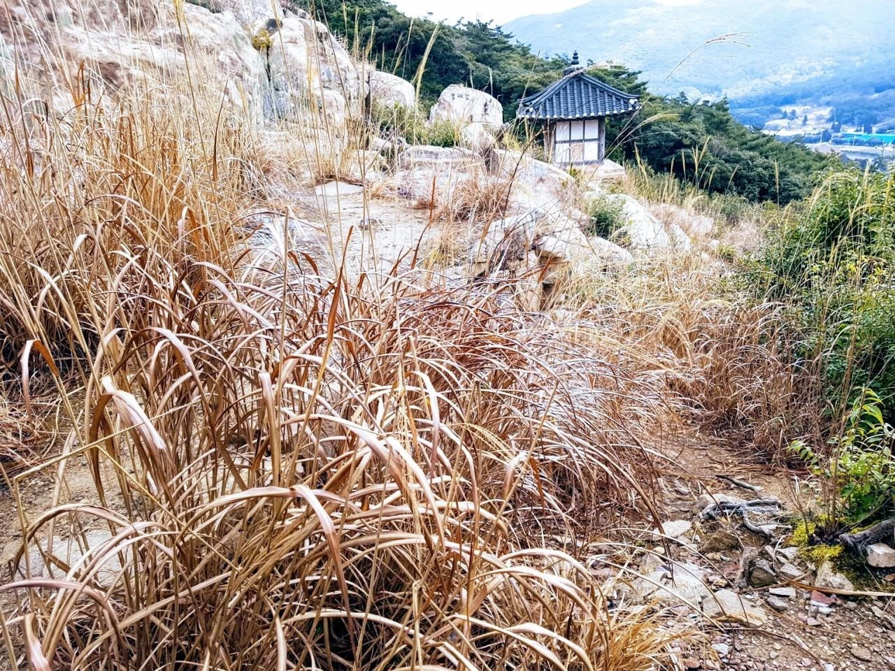 323Ud017svctqqjtnrxamfz_mk3hqk.jpg?type=e1920_std