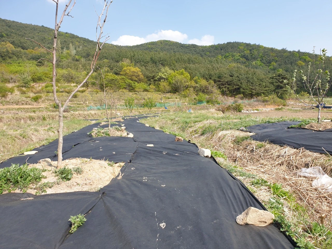 2_070Ud018svc1xcf7f0b538v3_e9765c.jpg?type=e1920_std