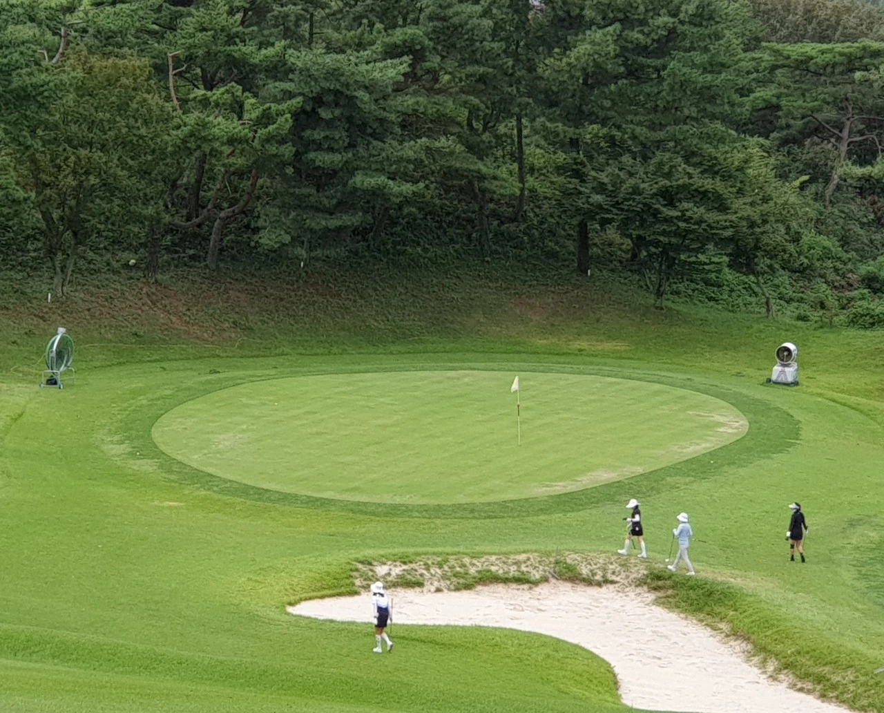 d_81cUd018svc1dbvranuvpdka_e9765c.jpg?type=e1920_std