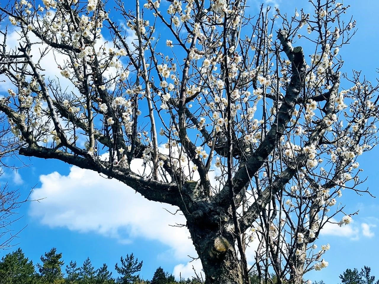 a18Ud017svcuxdx83q2tscl_yjivc5.jpg?type=e1920_std