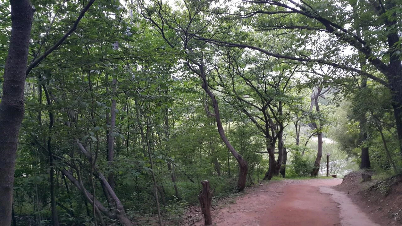 e9fUd015rm6480gmym8g_bnmutt.jpg?type=e1920_std