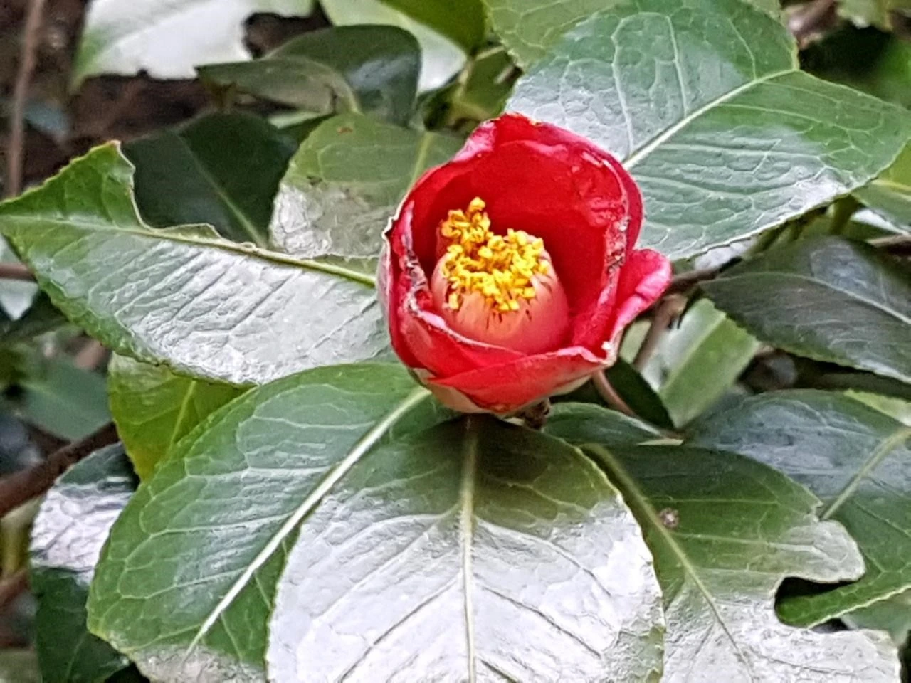 j52Ud016svc18m5zjhti2tel_i684xn.jpg?type=e1920_std