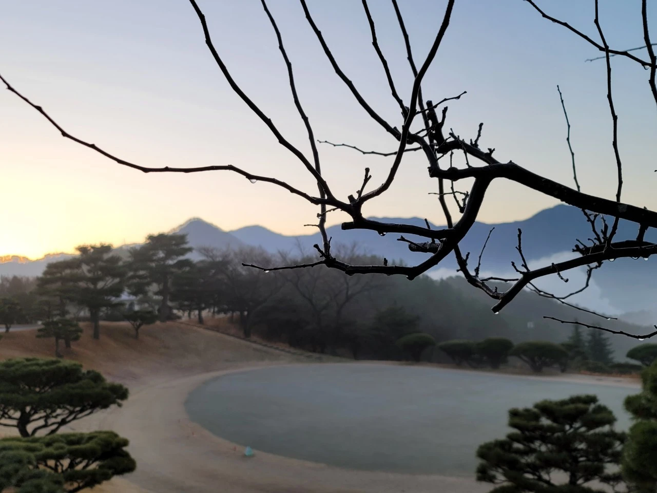 4_0h8Ud018svc1bmow27wa6djr_e9765c.jpg?type=e1920_std