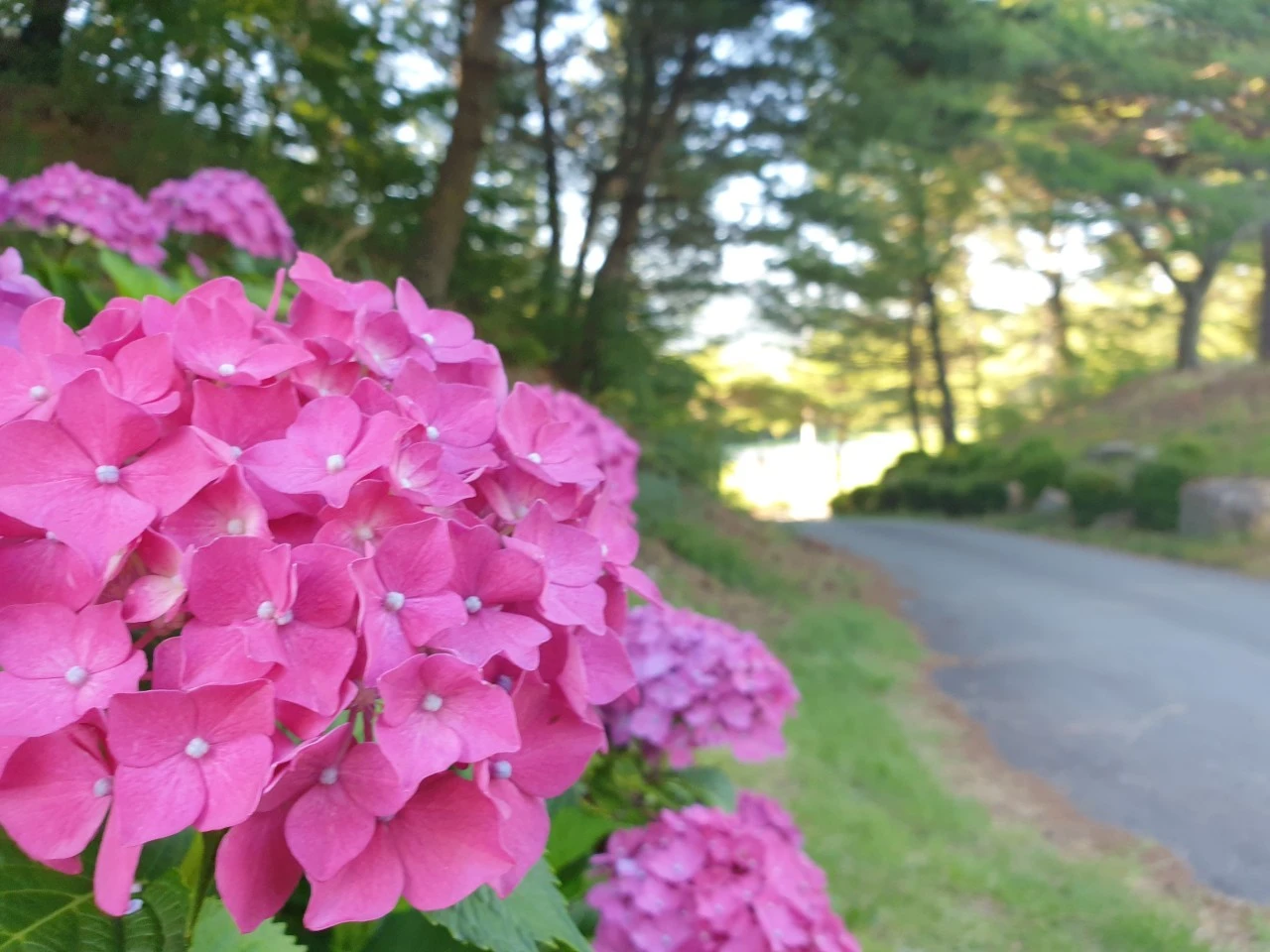 c_88dUd018svc10z8lfl6firy7_e9765c.jpg?type=e1920_std