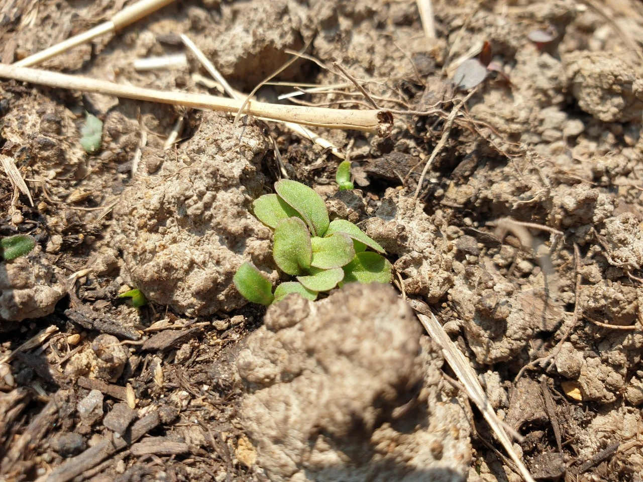 2_270Ud018svc1rdc66rpqsc10_e9765c.jpg?type=e1920_std