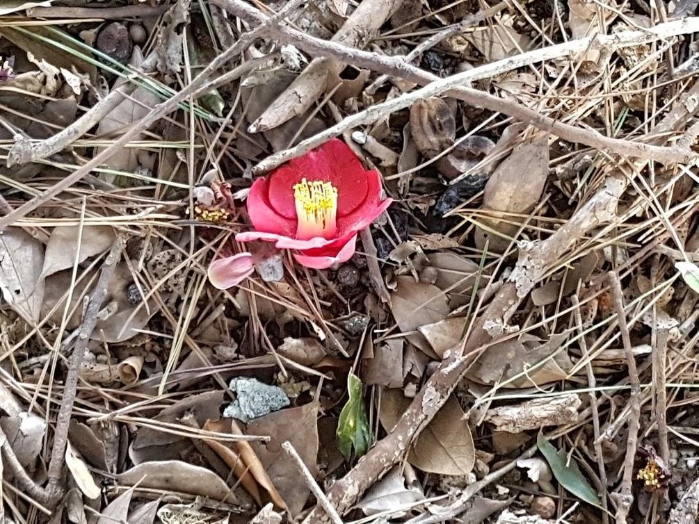 2_a86Ud018svc15fzq2m1qcfyu_ko1zd1.jpg?type=e1920_std