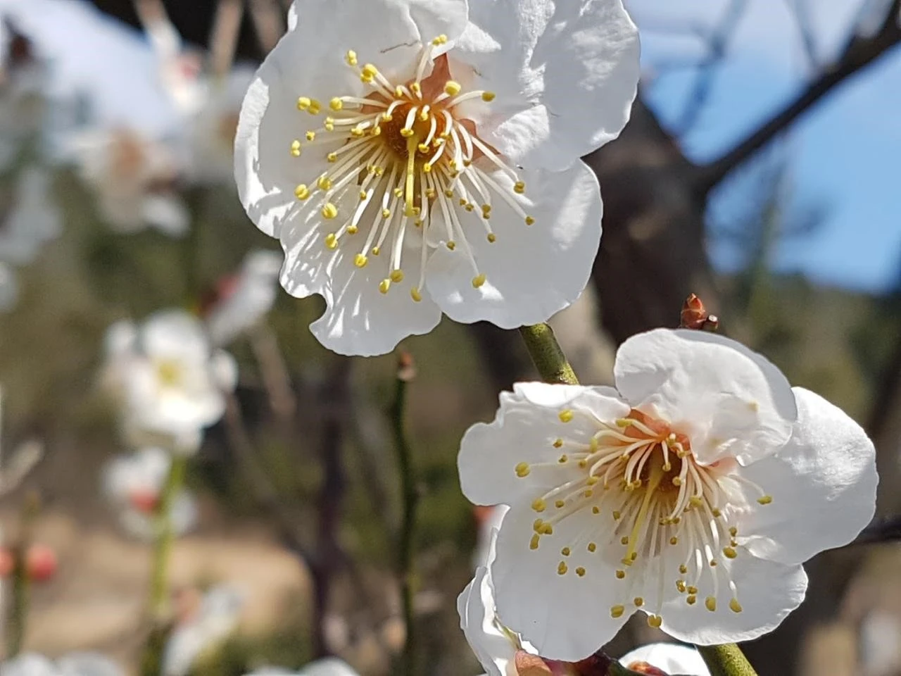 8ghUd017svc1rtj8xvvzaqhr_8nmp24.jpg?type=e1920_std