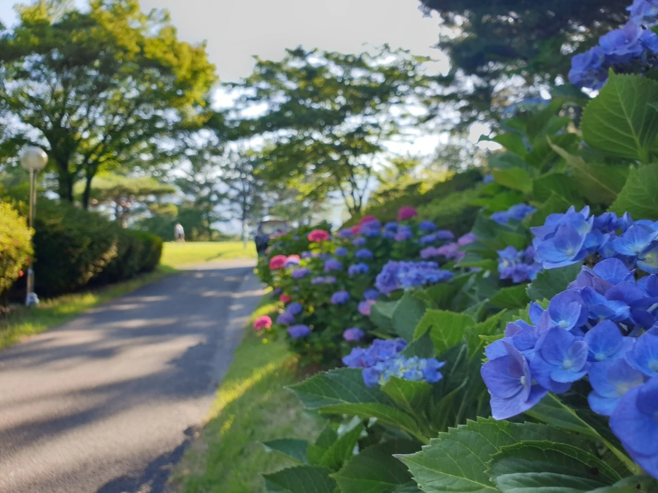 b_e7eUd018svc1oni7v167t16t_e9765c.jpg?type=e1920_std