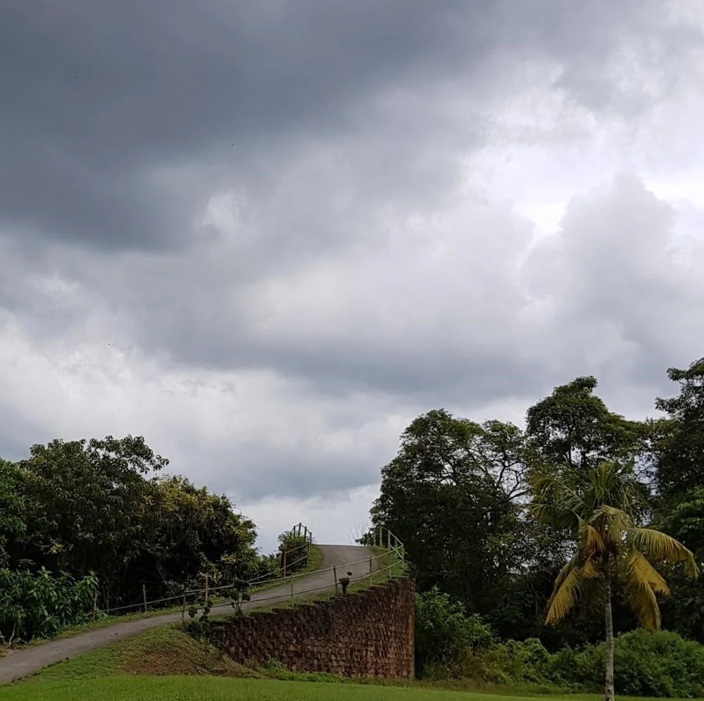 9_i4hUd018svc1wpzkfbiplx7s_lf6rec.jpg?type=e1920_std