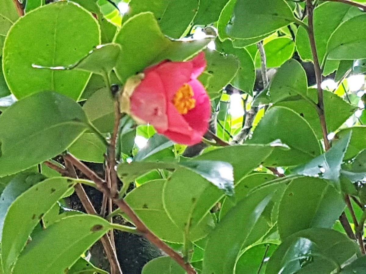 gj4Ud017svc1tbxy1xq7kxqx_1tg8uu.jpg?type=e1920_std