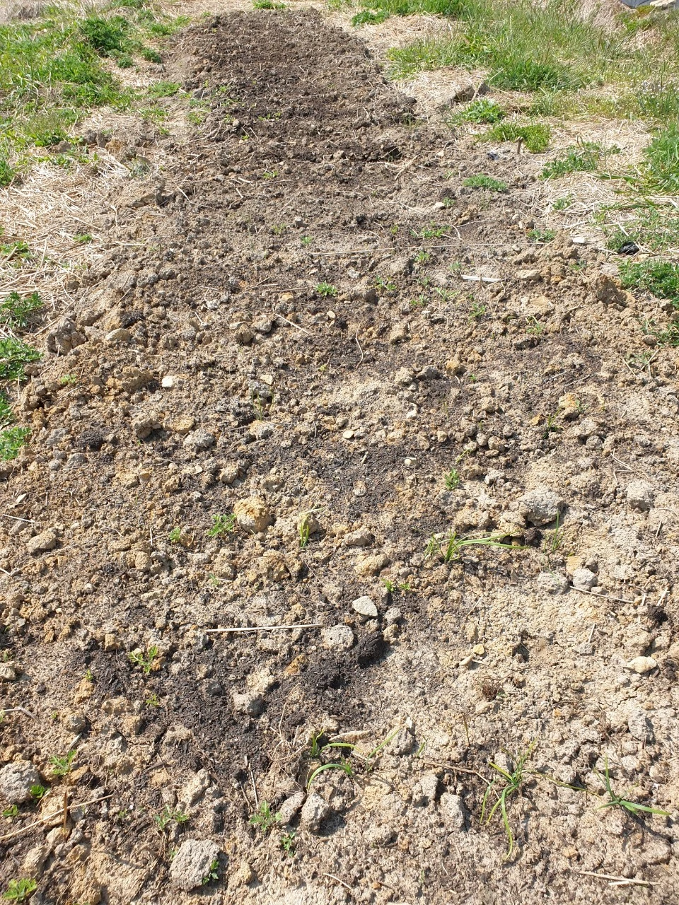 2_770Ud018svc13urvj1qp3ifx_e9765c.jpg?type=e1920_std