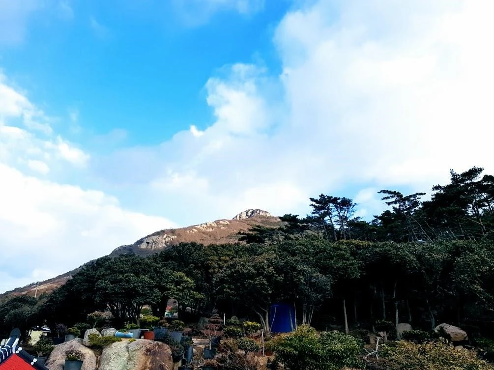 6_3h0Ud018svckis31sx03l5e_h5rihx.jpg?type=e1920_std