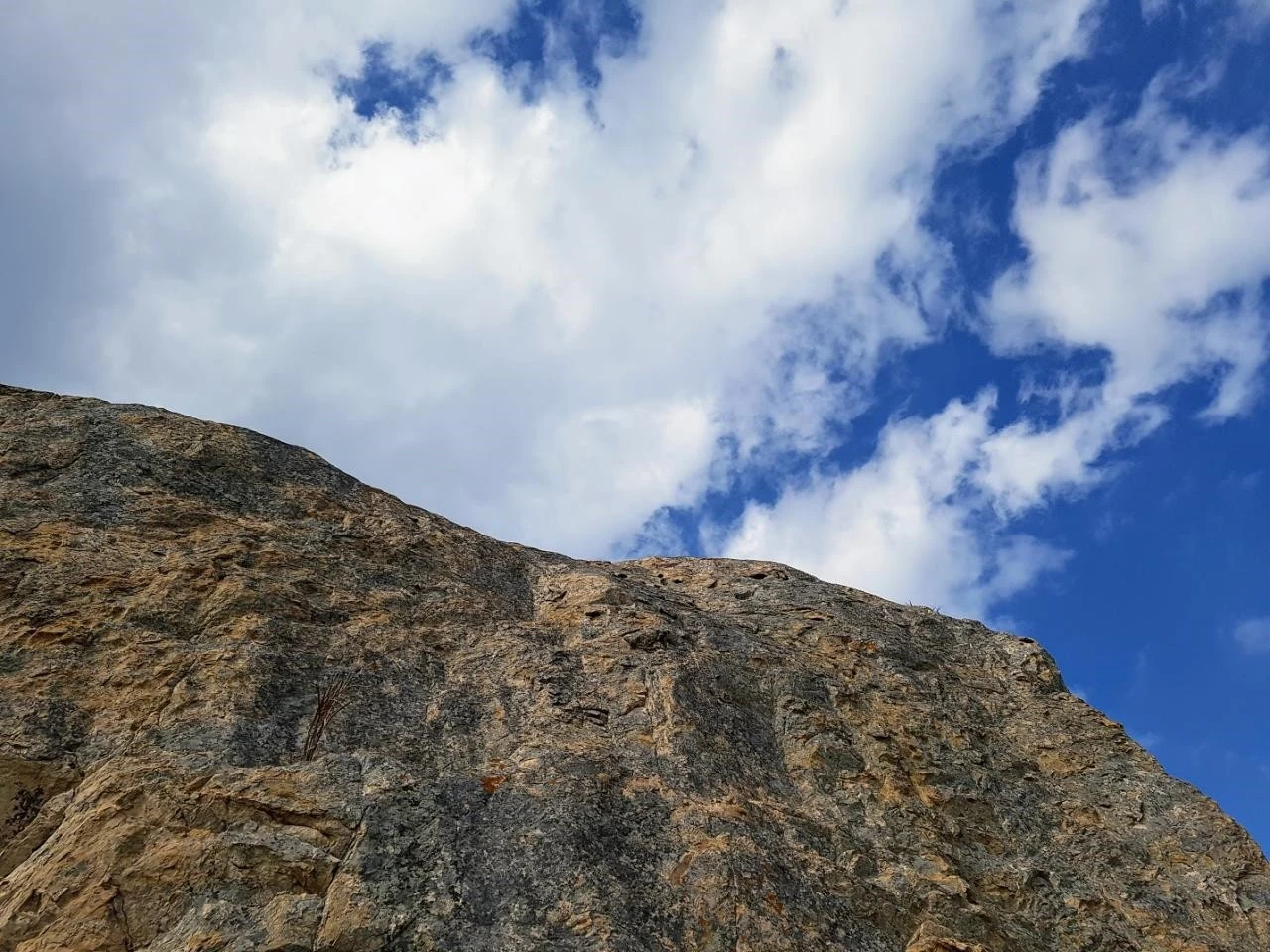 8_ebhUd018svcxvn4zm0d468o_rmczll.jpg?type=e1920_std