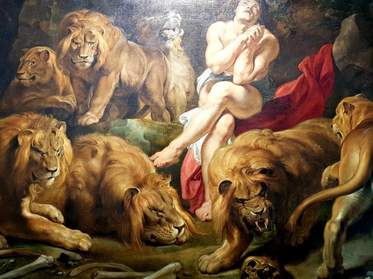 f_i00Ud018svcui9kh7frwc8w_bnmutt.jpg?type=e1920_std