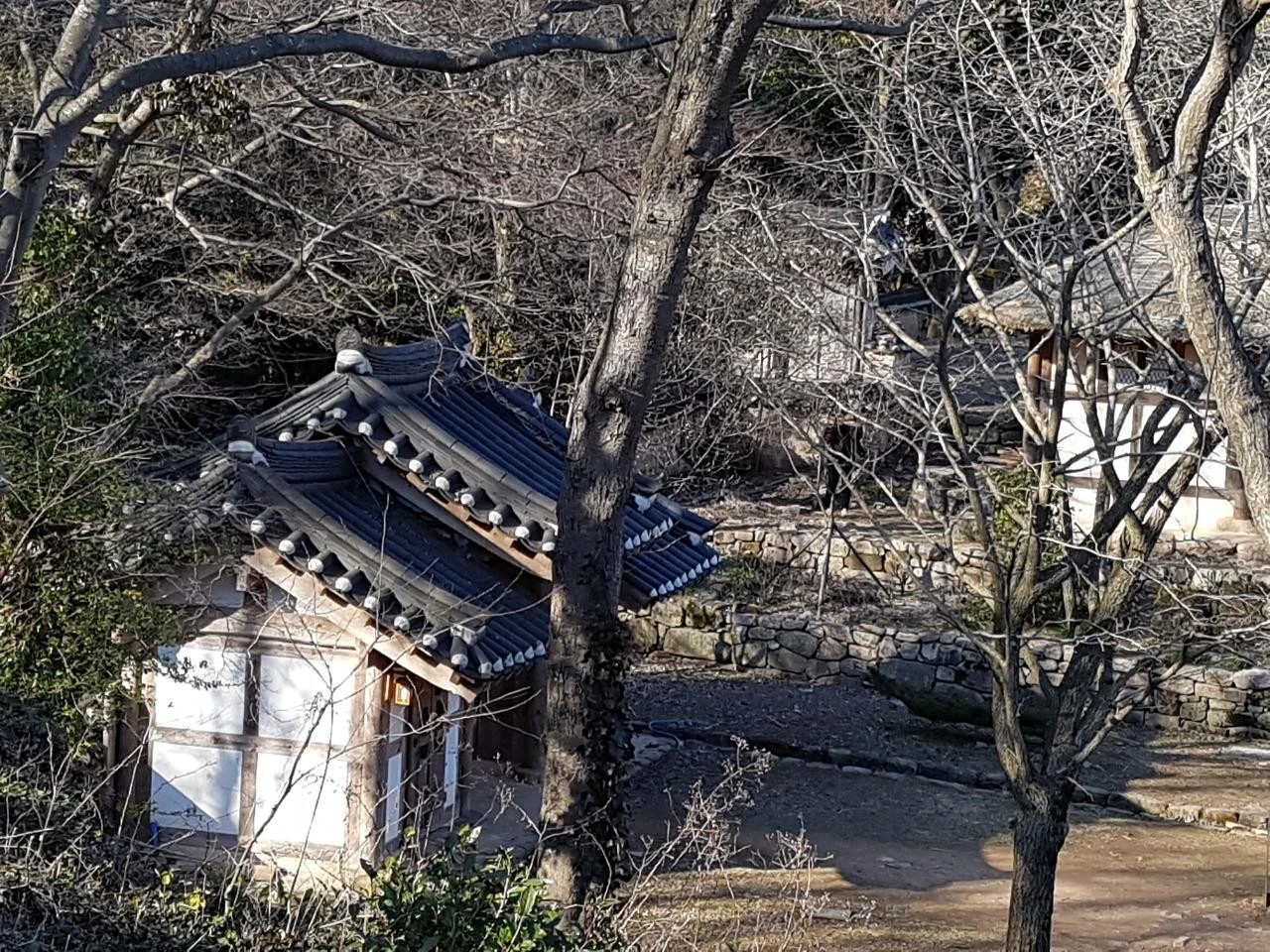 hc9Ud016svcfluqnx9ymwxm_v1lu70.jpg?type=e1920_std