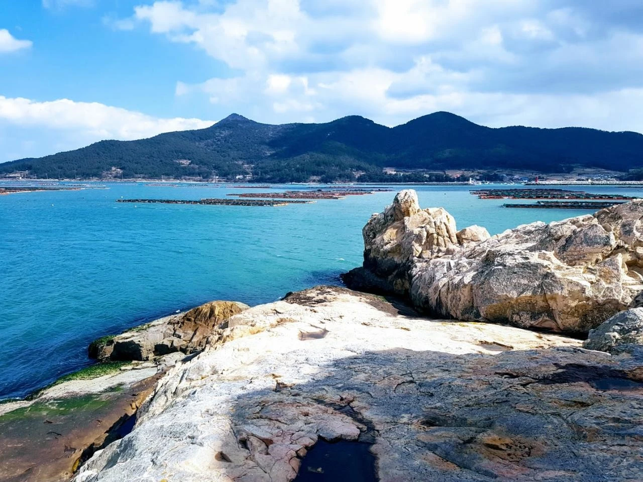 9_20gUd018svc1po2afah3g8cb_3m9dql.jpg?type=e1920_std