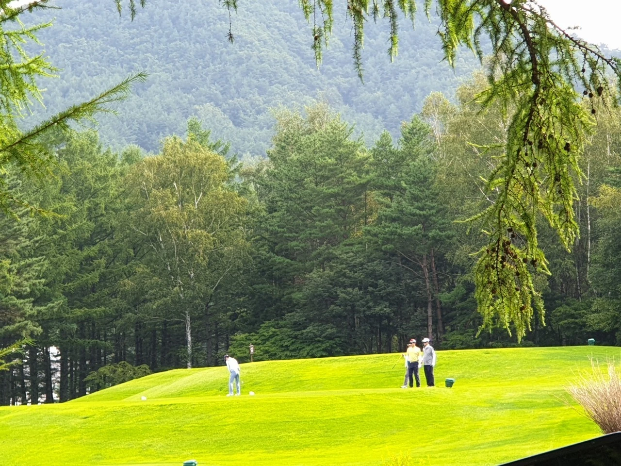 7_7gcUd018svcmfj1s1qpd1hb_e9765c.jpg?type=e1920_std