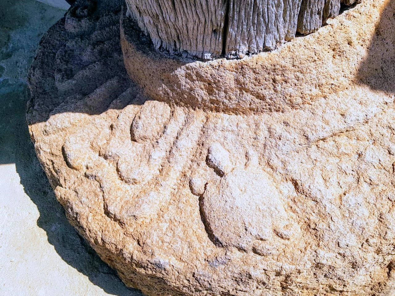 0_eb1Ud018svc1hsunxictybg2_5tuzyh.jpg?type=e1920_std