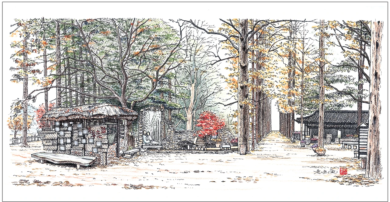 1-1.메타세콰이어 길.PNG