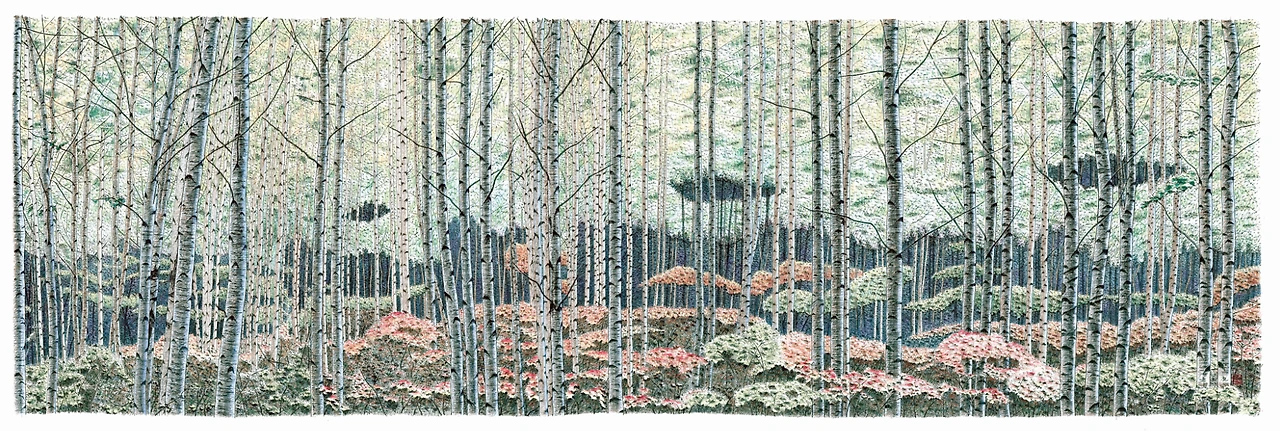 인제 자작나무 숲1.PNG