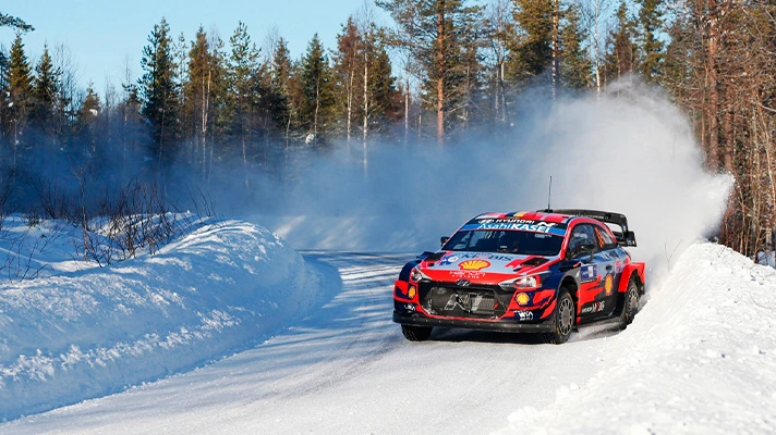 2021-wrc-arctic12.jpeg
