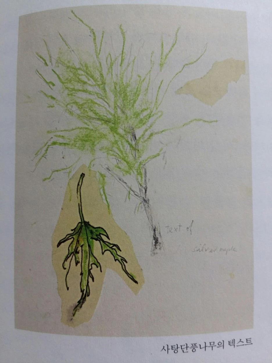 20190219_132957.jpg?type=w1