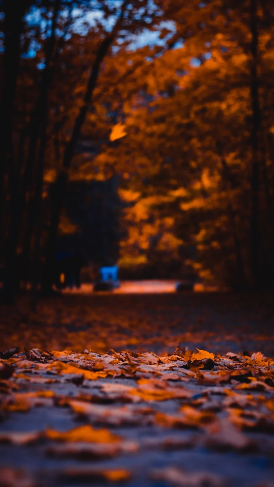 photo-1572239781739-483f82f78f7a.jpg?type=w1