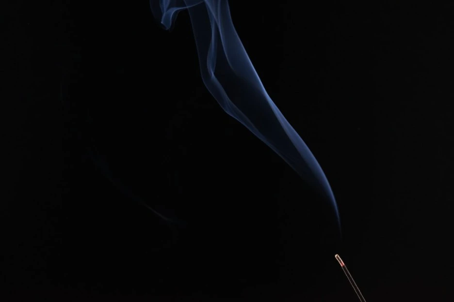 photo-1516945292958-f9a8082d53bf.jpg?type=w1