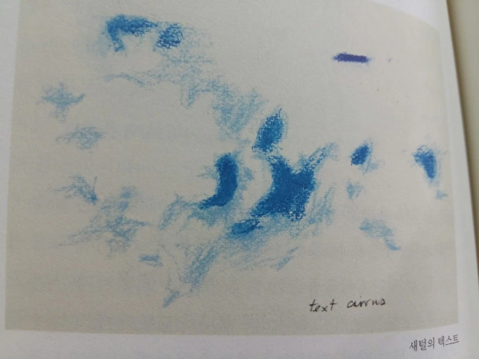 20190219_133055.jpg?type=w1