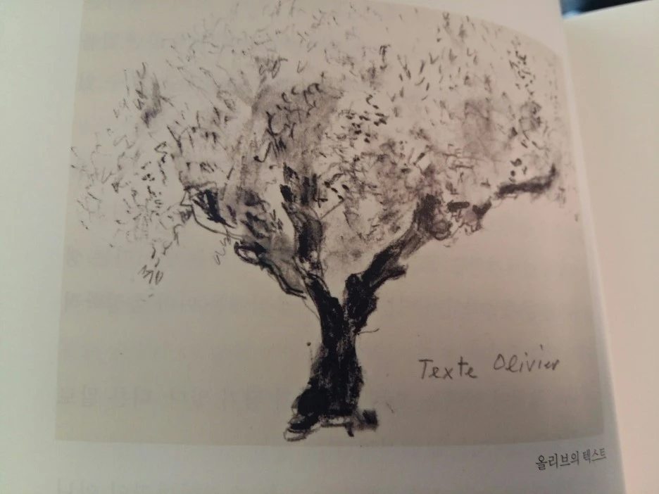 20190217_134632.jpg?type=w1