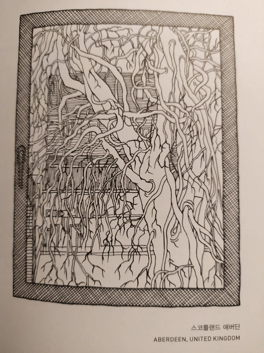 1576041621772.jpg?type=w1