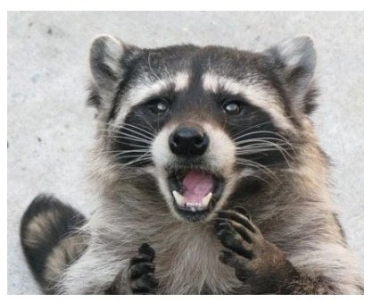 241DCA3A58D488F6351C13