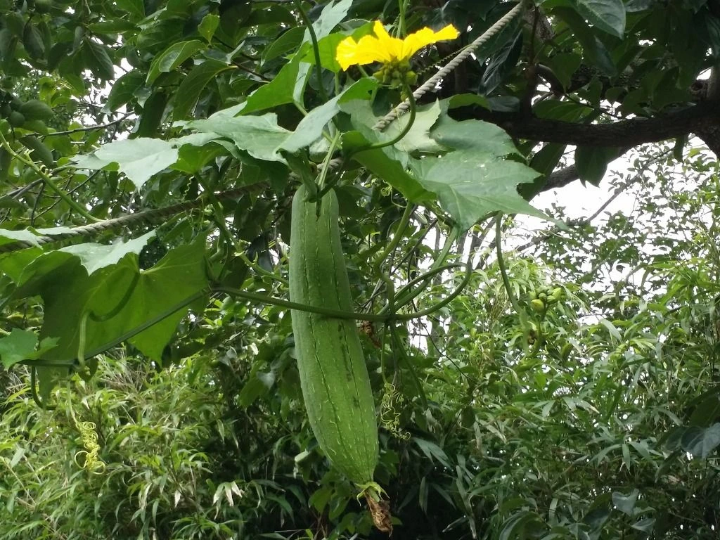 StMXl8mFrCtCq5NkJl7GwDYfDTExudJwIqNIsFJT9RW1xYQ_bafBMF9jzsxNbLDst5HZKjTp9DulGcBPLnU6M-yZlABCtskDnVPsEqVgGS5f2cocnj750D9udeXZgFznX5ThWzNj