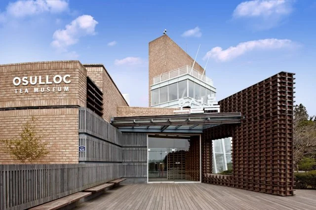 오설록티뮤지엄.jpeg