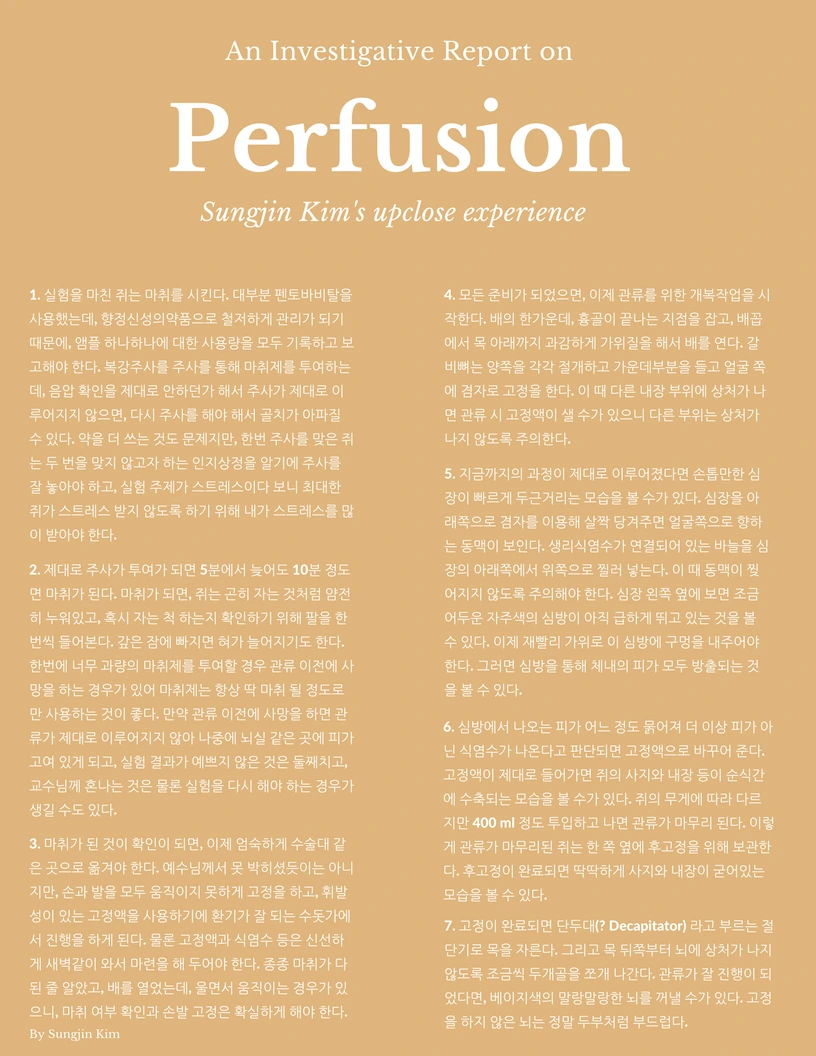 Perfusion_%281%29.png?type=w966