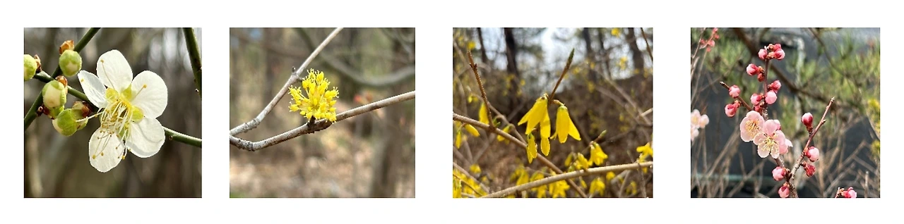 번갯불에 콩 볶느라.jpeg