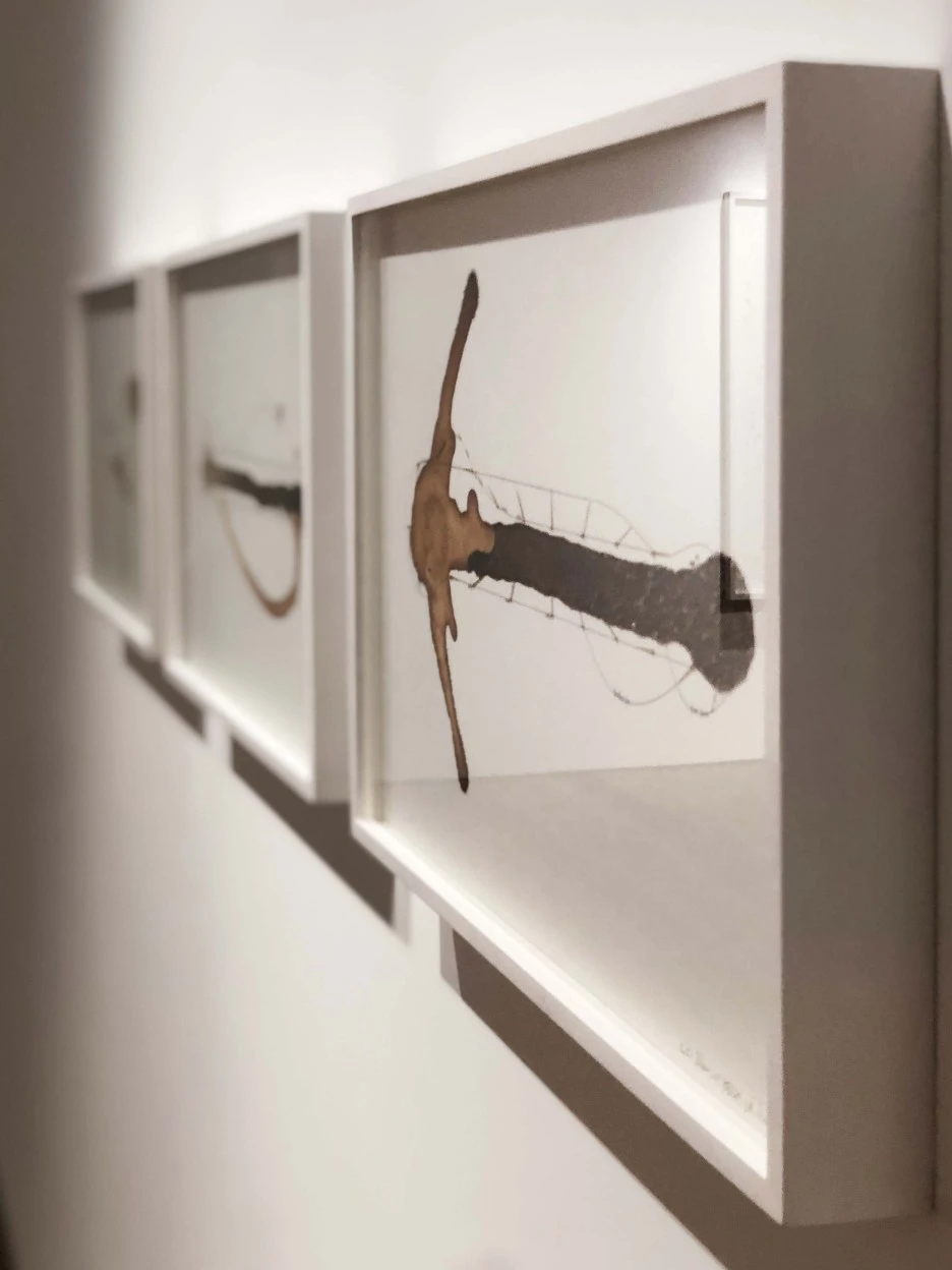 IMG_5038.jpeg?type=w1