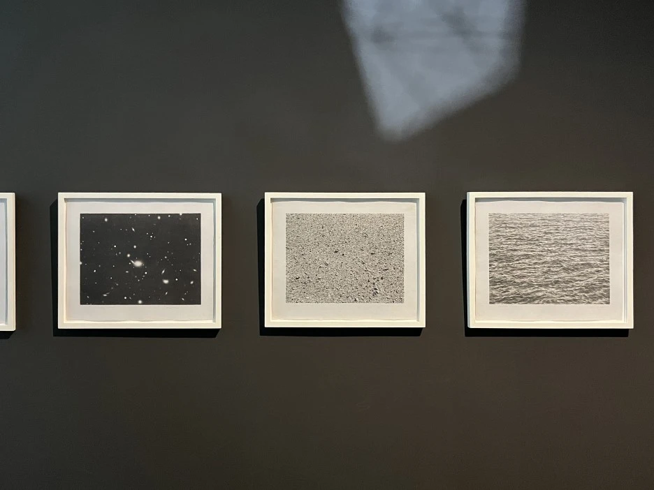 IMG_3350.jpeg?type=w1