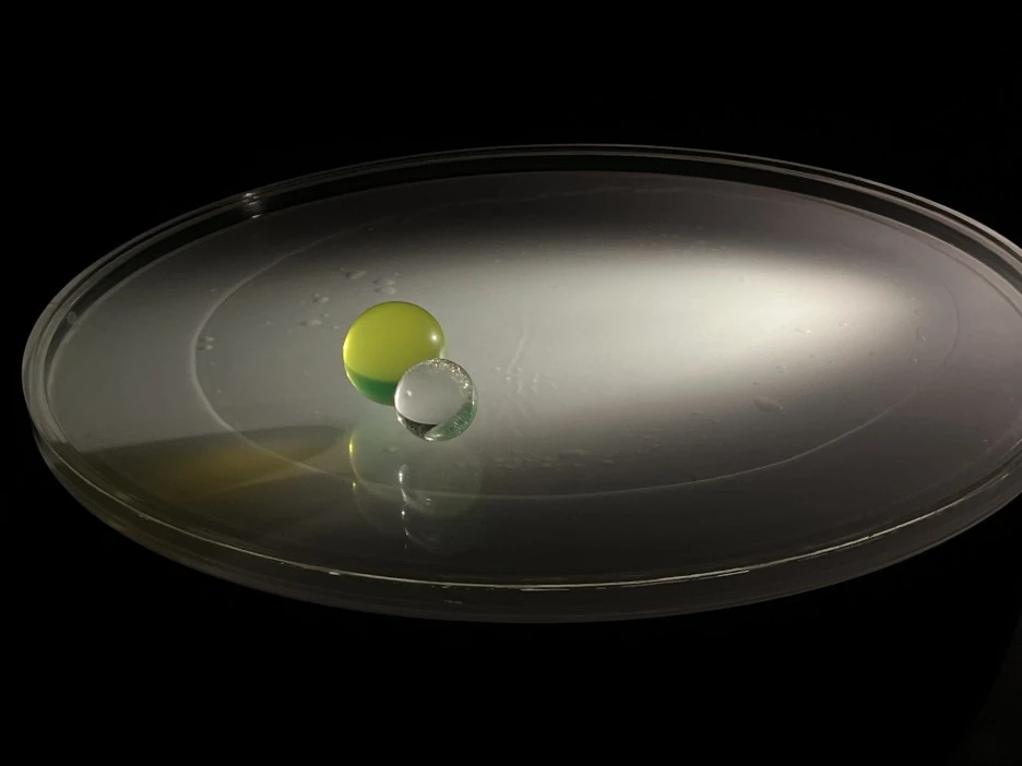 IMG_0946.jpeg?type=w1