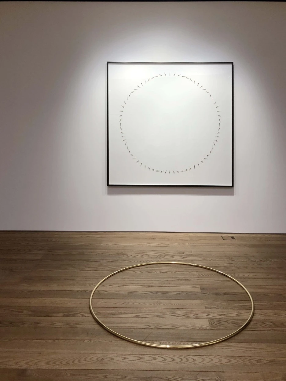 IMG_5009.jpeg?type=w1