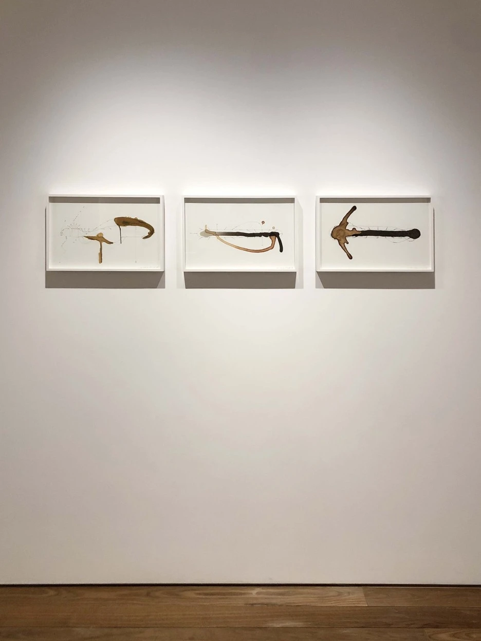 IMG_5035.jpeg?type=w1